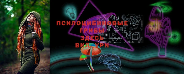 Альфа ПВП Баксан